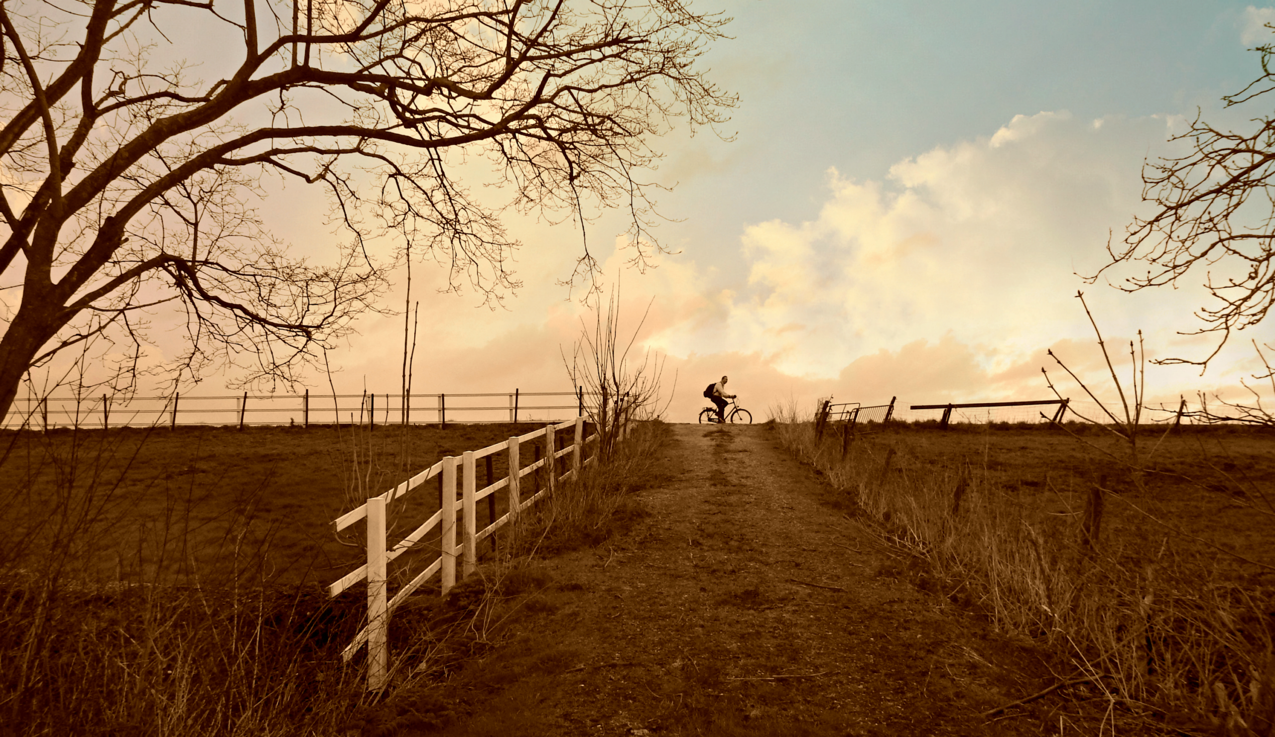 新聞配達のイメージ